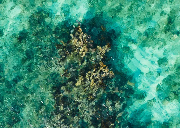 The St. Regis Kanai Resort, Riviera Maya Punta Maroma